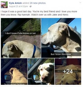 Screenshot from Kyle Amick's public facebook page introducing the photo essay. 